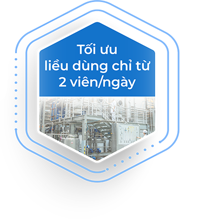 EECV 3