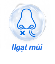 Icon 2