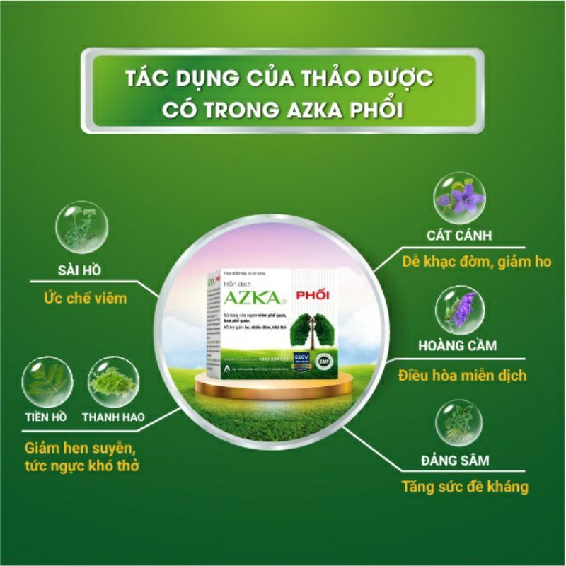 Các thành phần thảo dược có trong Azka Phổi